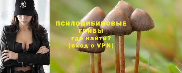не бодяженный Нефтегорск
