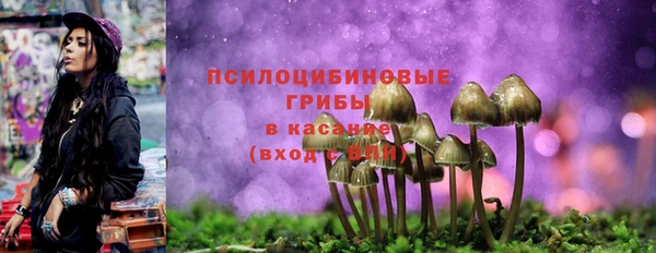 не бодяженный Нефтегорск