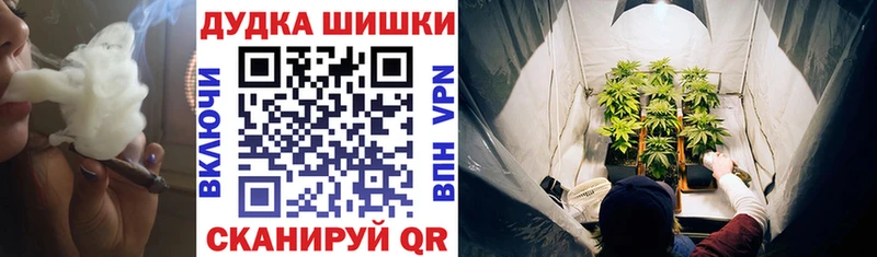 Канабис планчик ОМГ ОМГ зеркало Инза